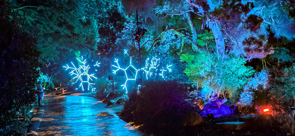 San Diego Botanic Garden - Lightscape 2025